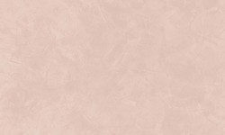 Decorazza STUCCO VENEZIANO / Цвет #SV  10-65